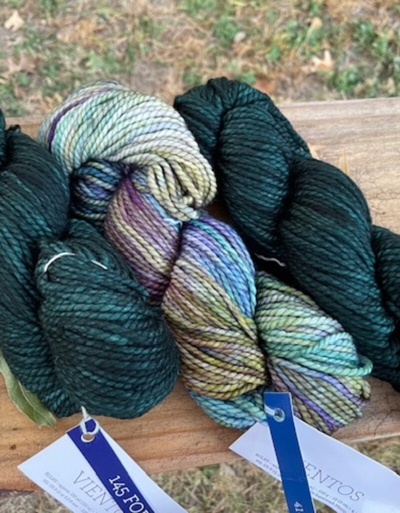 Malabrigo Vientos 145 Forest