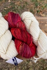 Malabrigo Vientos 658 Zinnias