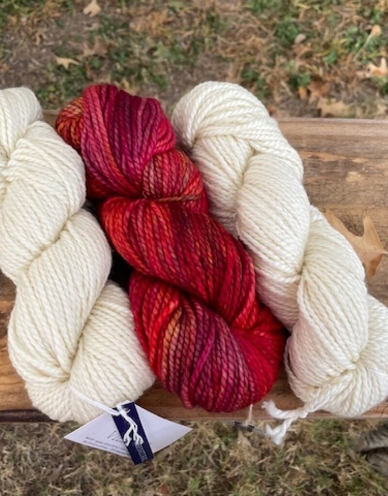 Malabrigo Vientos 658 Zinnias