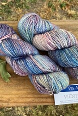 Malabrigo Vientos 875 Arapey