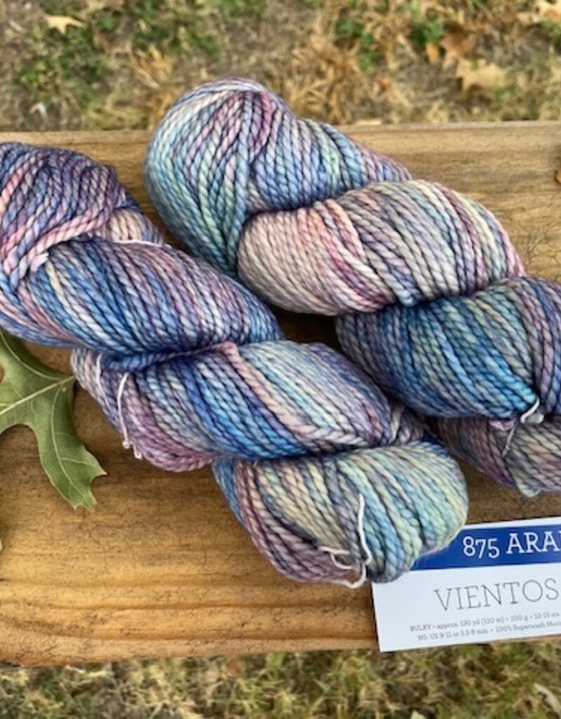 Malabrigo Vientos 875 Arapey