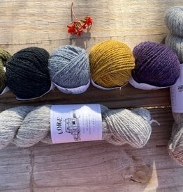 Rapson in Lore Kit #1