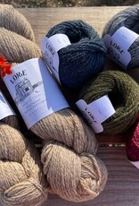 Rapson in Lore Kit #2