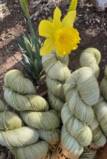 Dream in Color Smooshy/Cashmere - After the Thaw (Pop-up  Feb 2026)