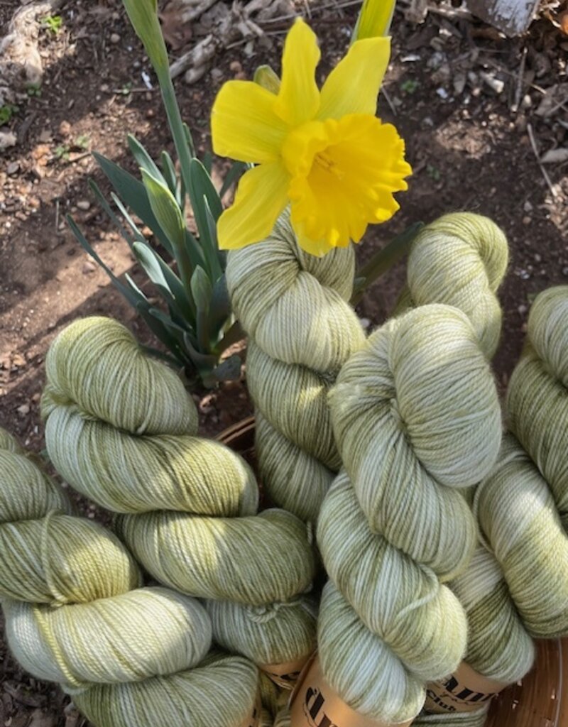 Dream in Color Smooshy/Cashmere - After the Thaw (Pop-up  Feb 2026)