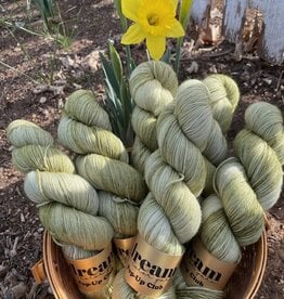 Dream in Color Smooshy/Cashmere - After the Thaw (Pop-up  Feb 2026)