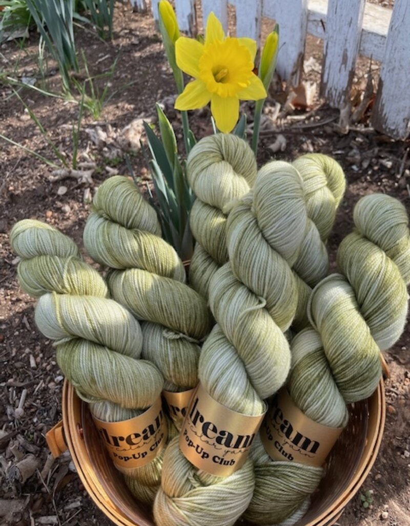 Dream in Color Smooshy/Cashmere - After the Thaw (Pop-up  Feb 2026)