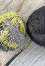 LYS DAY 2026 Duo #11 Schoppel Starke 6