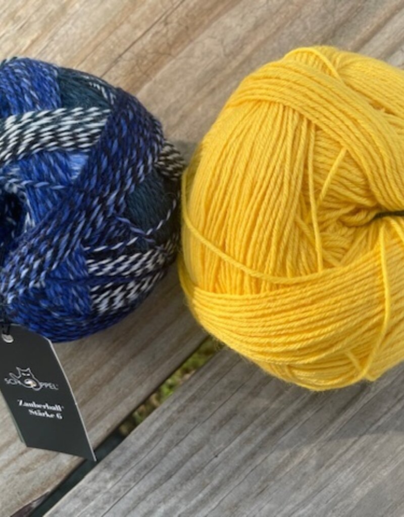 LYS DAY 2026 Duo #14 Schoppel Starke 6