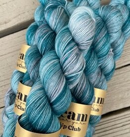 Dream in Color - Smooshy with C, Harborlight (pop-up May 2026)