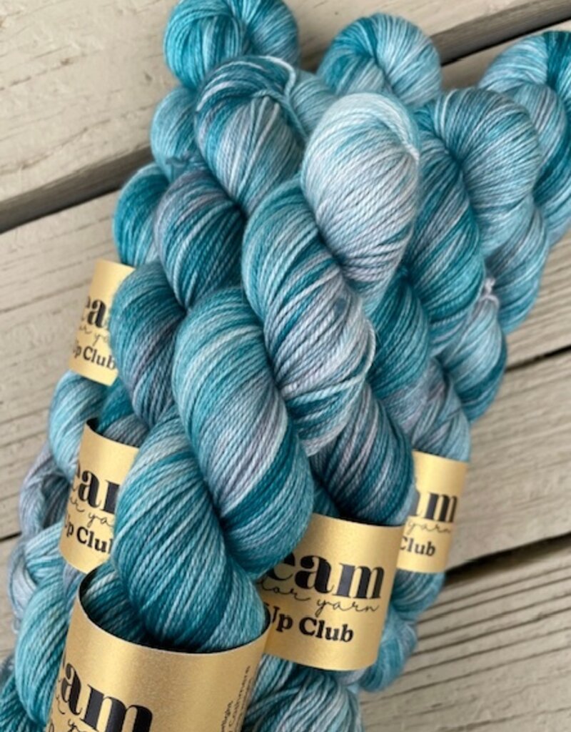 Dream in Color - Smooshy with C, Harborlight (pop-up May 2026)