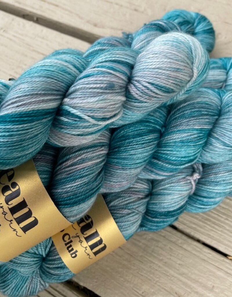 Dream in Color - Smooshy with C, Harborlight (pop-up May 2026)