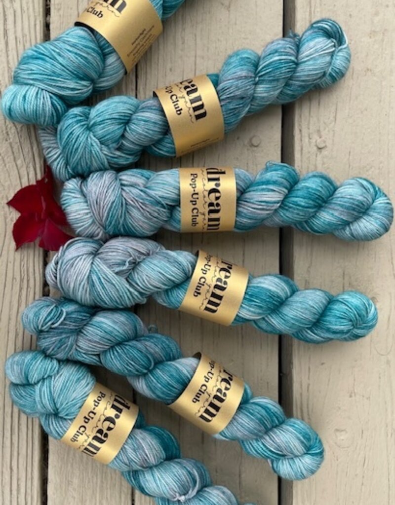 Dream in Color - Smooshy with C, Harborlight (pop-up May 2026)