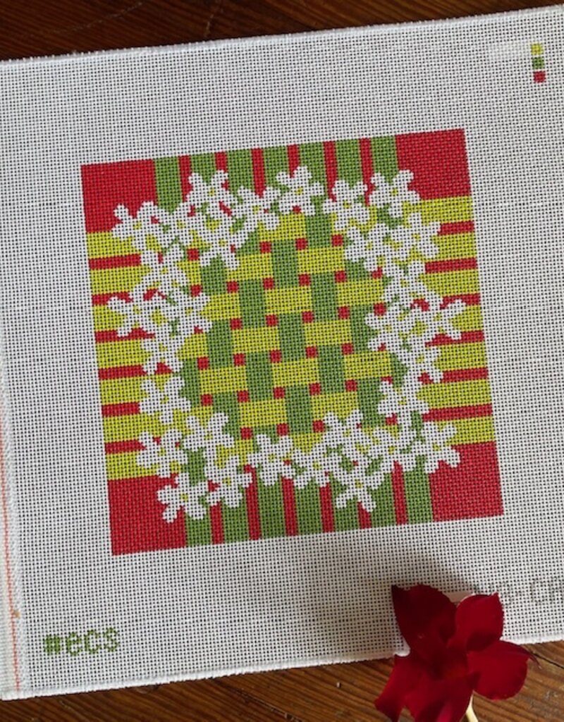 Elizabeth Crane Swartz - Paperwhites (13M)   8" x 8"