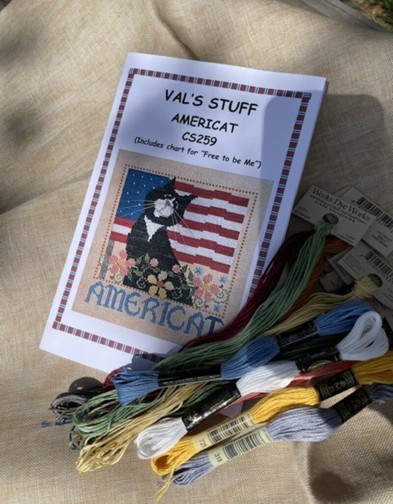 Val - CS259 Americat