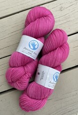 Ancient Arts  - Socknado, Flamboyant