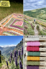 Scheepjes CAL Kit - Picnic on the Mountain (Colour Crafter)