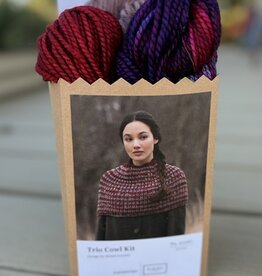 Malabrigo 2026 Holiday Kit #2:  Trio Cowl