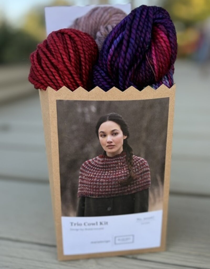 Malabrigo 2026 Holiday Kit #2:  Trio Cowl
