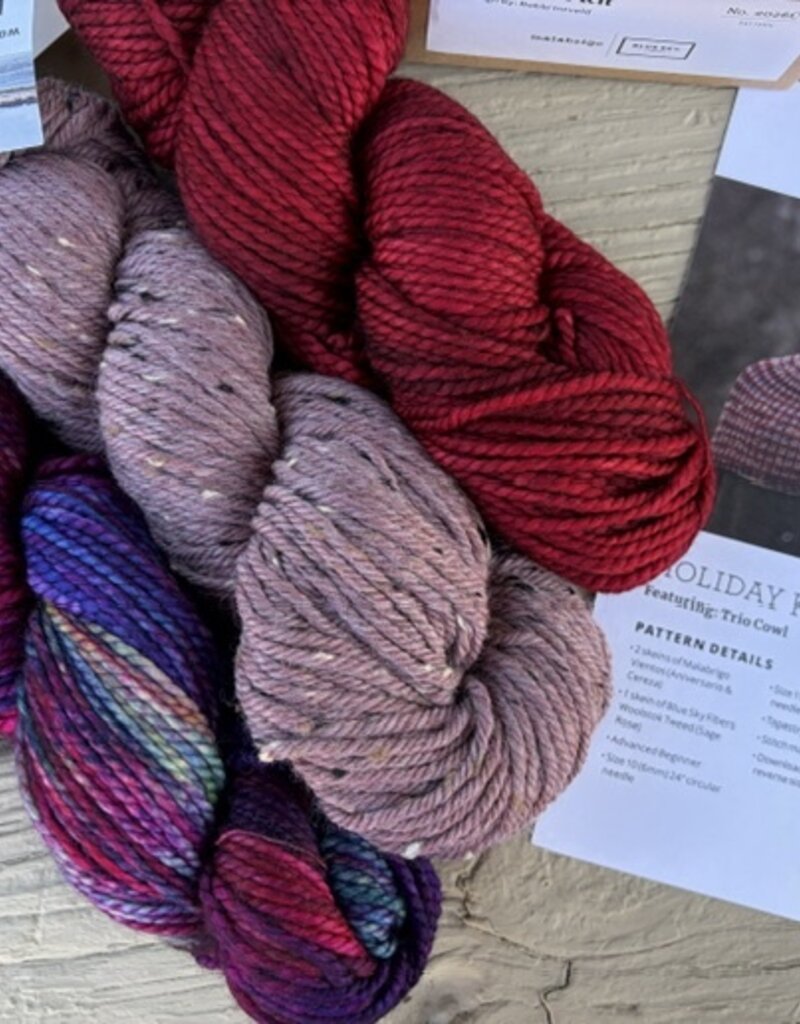 Malabrigo 2026 Holiday Kit #2:  Trio Cowl
