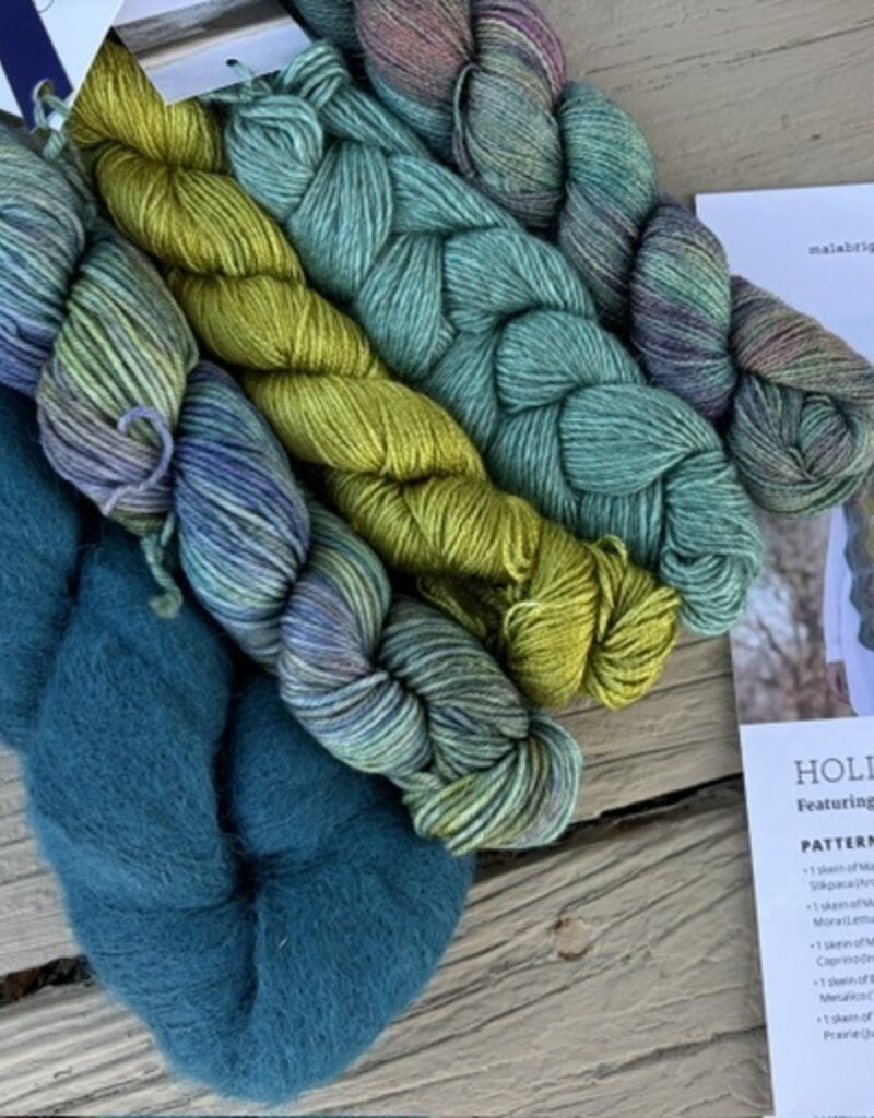 Malabrigo 2026 Holiday Kit #1:  Elegante Wrap