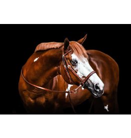 Dr. Cook's Bitless Bridle Western