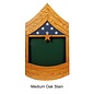 Morgan House US Army SGM or CSM Shadow Box