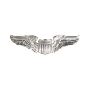 Pilot Wings Functional Badge