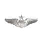 Pilot Wings Functional Badge