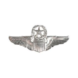 Pilot Wings Functional Badge