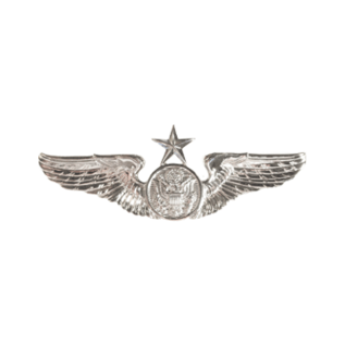 Enlisted Aircrew Member Wings Functional Badge