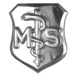 Medical Service (MS) Functional Badge