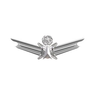 Space Wings Functional Badge