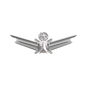 Space Wings Functional Badge