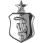 Veterinarian Functional Badge