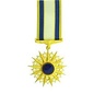 USAF Distinguished Service