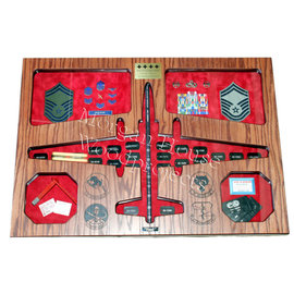 Morgan House U-2 Dragon Lady Shadow Box