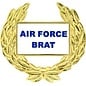 United States Air Force Brat with Wreath Pin - 14496 (1 1/8 inch)