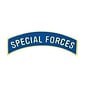 Special Forces Tab Pin - 14566 (1 inch)
