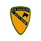 1st Air Cavalry Vietnam Pin - 14705 (1 inch)