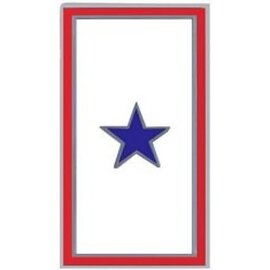 1 Blue Star Service Pin - 14240 (7/8 inch)