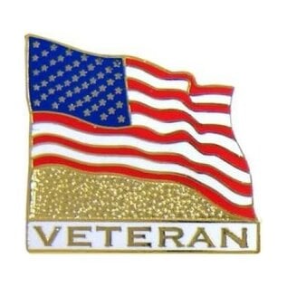 United States Flag Veteran Pin - 14587 (1 inch)