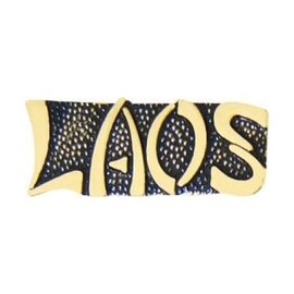 Laos Vietnam Location Script Pin - 15301 (1 inch)