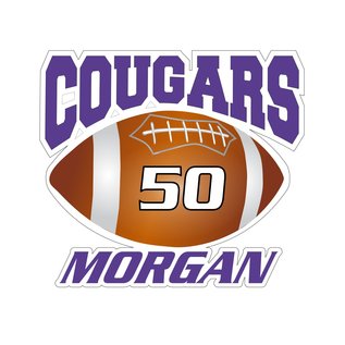 Customized Car Decal - Breese Central Sports