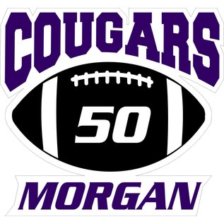 Customized Car Decal - Breese Central Sports