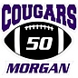 Customized Car Decal - Breese Central Sports