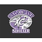 Customized Car Decal - Breese Central Sports