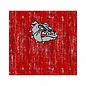 Bulldogs School Spirit Neck Gaiters