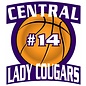 Customized Car Decal - Breese Central Sports