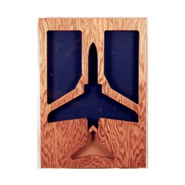Morgan House T-45 Goshawk Shadow Box